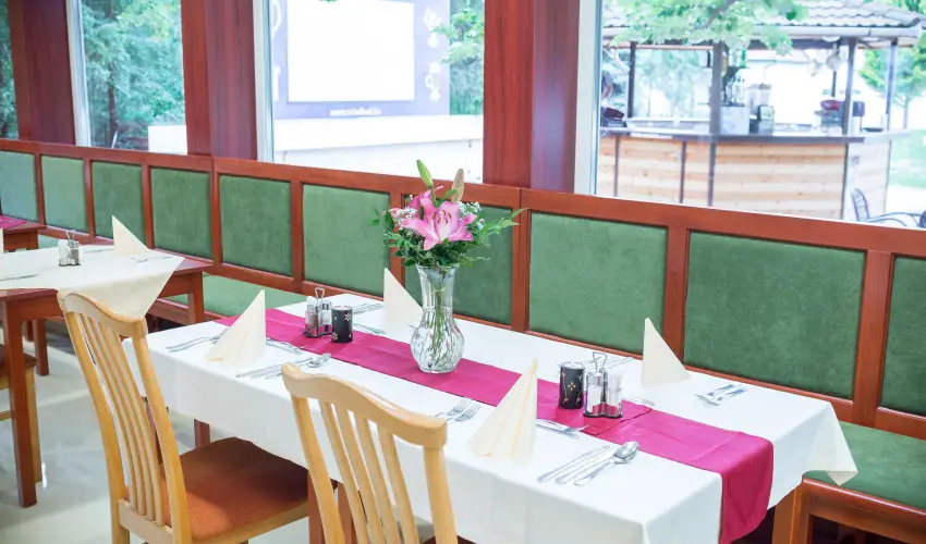 Wellness Hotel Szindbd  Balatonszemes - vindt Szllsvadszat Balatonszemesen (min. 2 j)