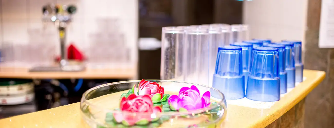 Wellness Hotel Szindbd  Balatonszemes - Farsangi htvge (1 jtl)