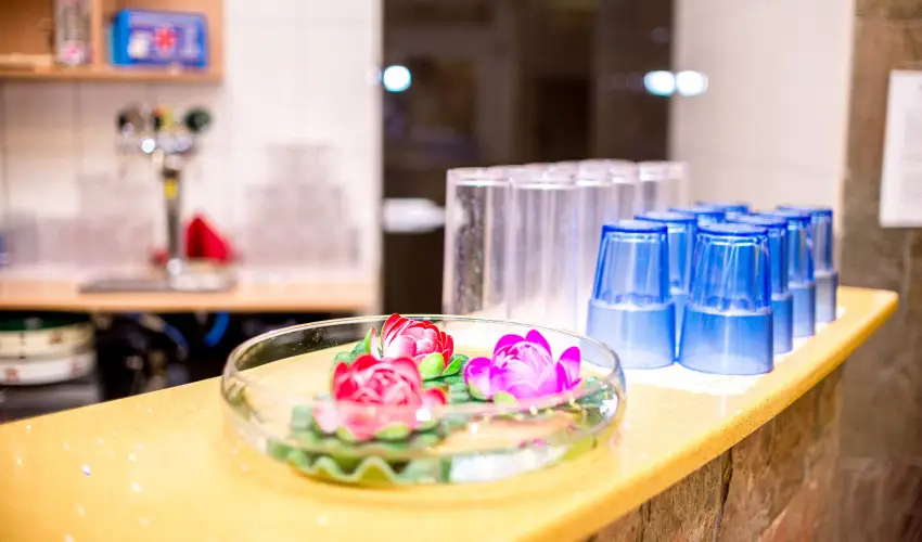 Wellness Hotel Szindbd  Balatonszemes - vindt Szllsvadszat Balatonszemesen (min. 2 j)