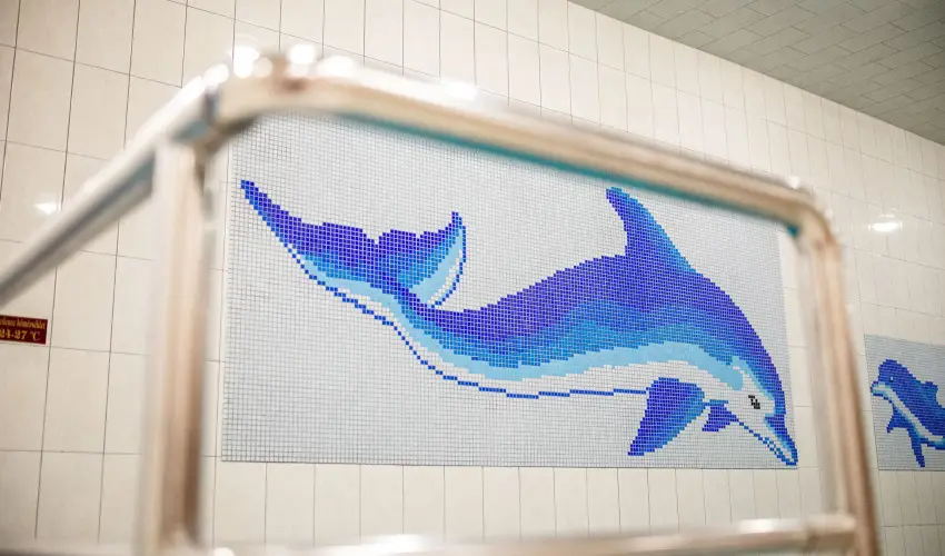 Wellness Hotel Szindbd  Balatonszemes - vindt Szllsvadszat Balatonszemesen (min. 2 j)