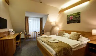 Aqua Hotel Term�l Mosonmagyar�v�r