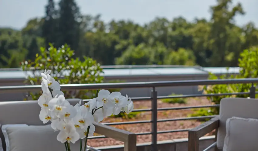 Thermal Hotel Balance  Lenti - Balance napok, frdbelpvel (min. 2 j)