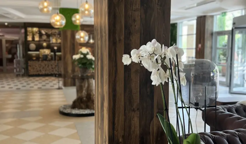 Thermal Hotel Visegrd Visegrd - Legjobb r (min. 2 j)