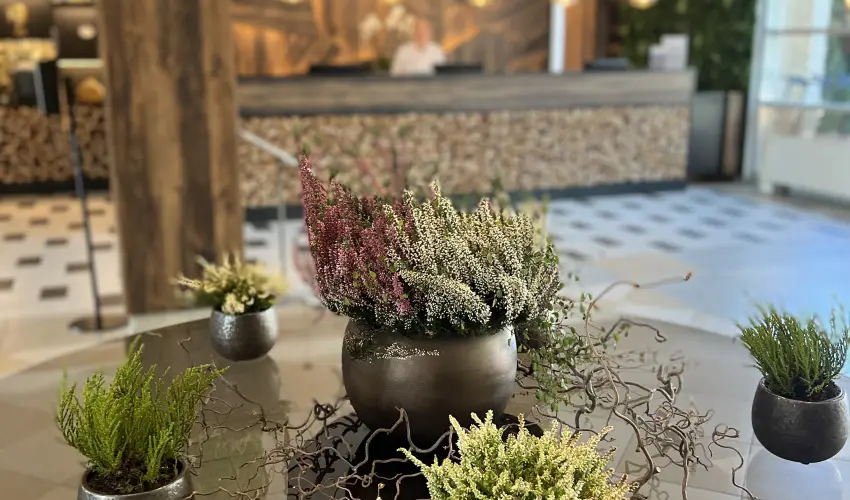 Thermal Hotel Visegrd Visegrd - Legjobb r (min. 2 j)