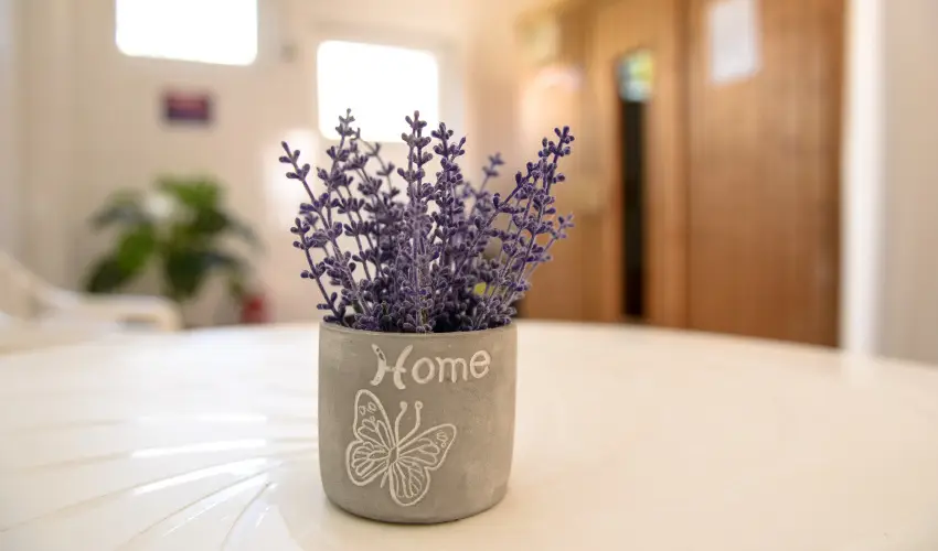 Thermal Panzi Igal Igal - Igali lazts frdbelpvel (min. 7 j)