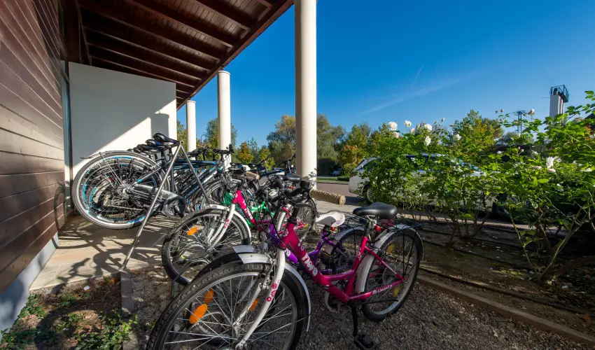 Tisza Balneum Hotel Tiszaf�red - Ny�rut� a Balneumban (min. 2 �j)