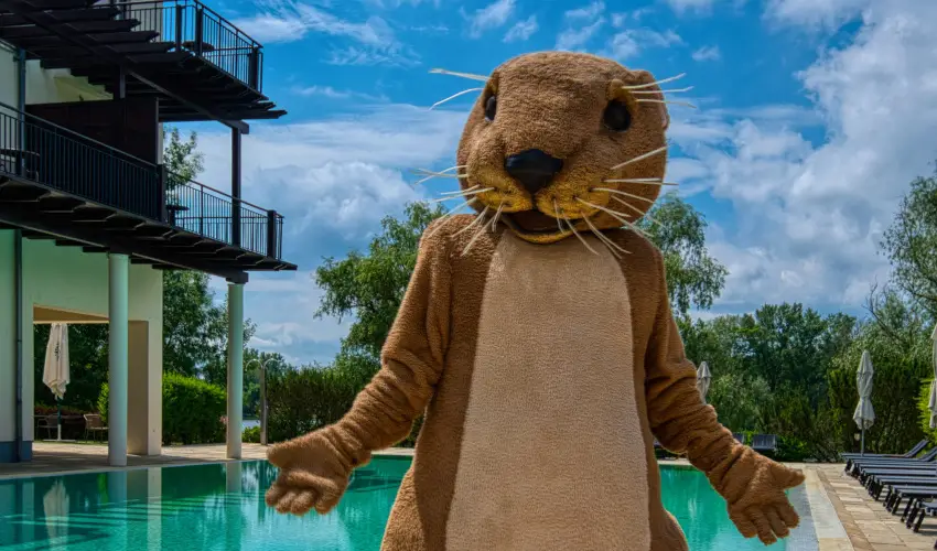 Tisza Balneum Hotel Tiszaf�red - Ny�rut� a Balneumban (min. 2 �j)