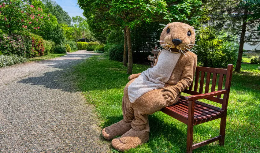 Tisza Balneum Hotel Tiszaf�red - Ny�rut� a Balneumban (min. 2 �j)