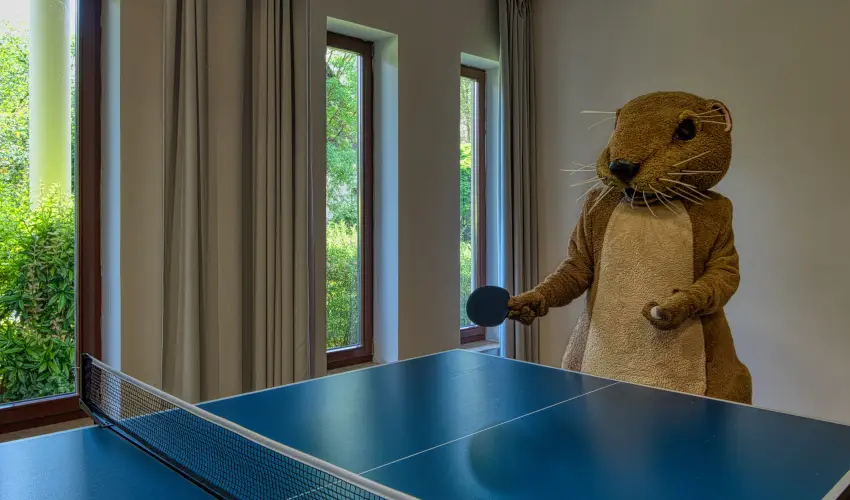 Tisza Balneum Hotel Tiszaf�red - Ny�rut� a Balneumban (min. 2 �j)