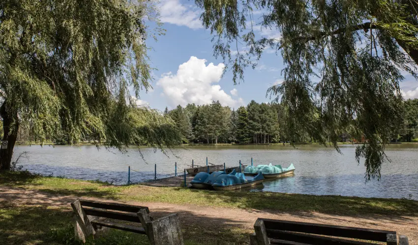 T-Part Panzi & Rendezvnykzpont Kszeg - Legjobb r (min. 2 j)