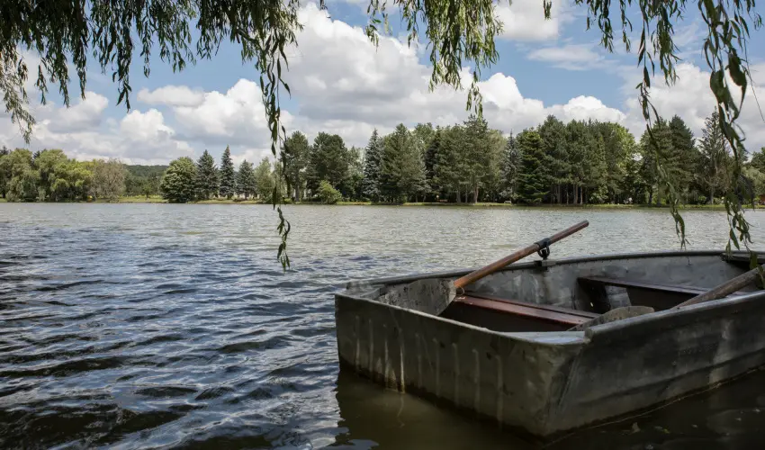 T-Part Panzi & Rendezvnykzpont Kszeg - Legjobb r (min. 2 j)