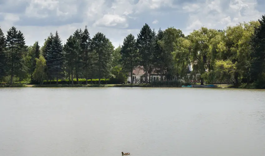 T-Part Panzi & Rendezvnykzpont Kszeg - Legjobb r (min. 2 j)