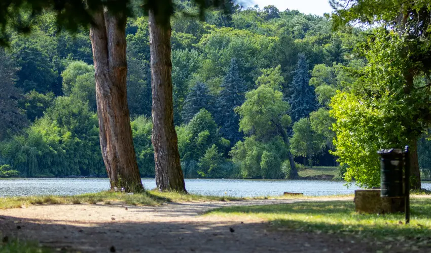 T-Part Panzi & Rendezvnykzpont Kszeg - Legjobb r (min. 2 j)
