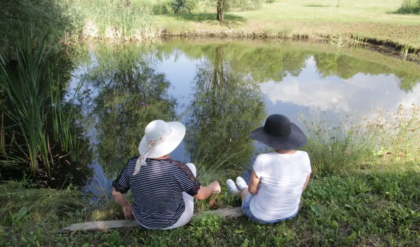 T Wellness Hotel Bnk - Tparti wellness nyr (min. 2 j)