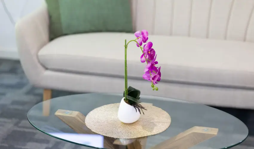 TOK Zamárdi Zamárdi - Vissza nem térítendő ár (min. 2 éj)