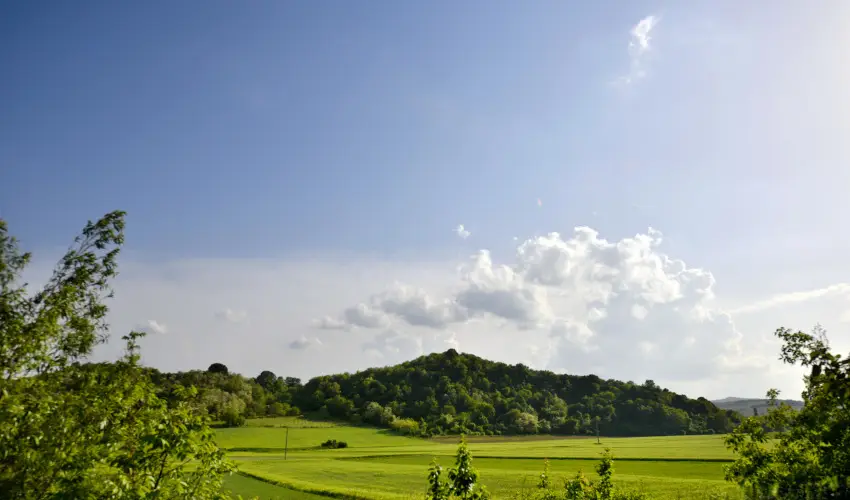 T�kert Fogad� Nagym�nyok - Ny�ri pihen�s (min. 5 �j)