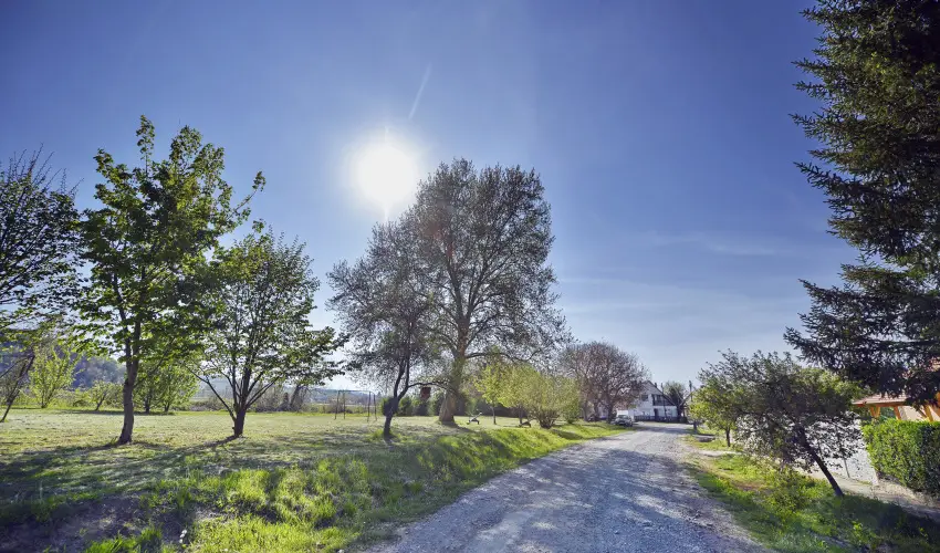 T�kert Fogad� Nagym�nyok - Ny�ri pihen�s (min. 5 �j)