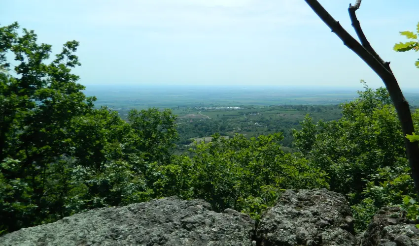 T�kert Fogad� Nagym�nyok - Ny�ri pihen�s (min. 5 �j)