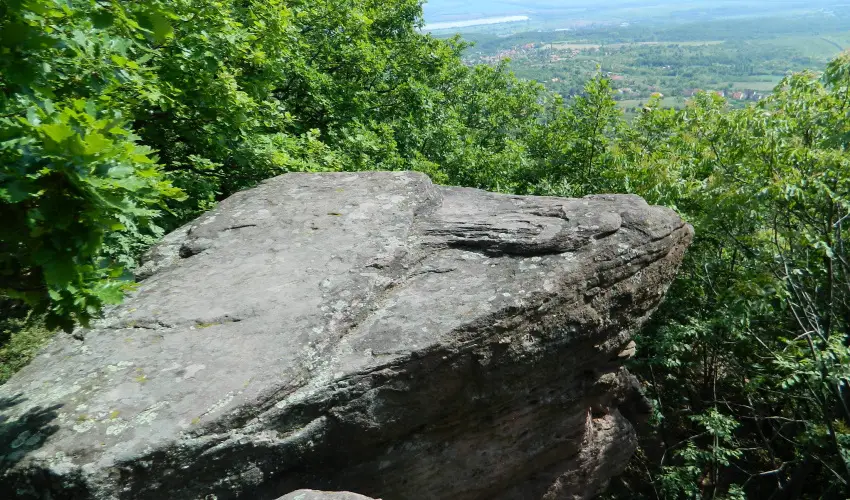 T�kert Fogad� Nagym�nyok - Ny�ri pihen�s (min. 5 �j)