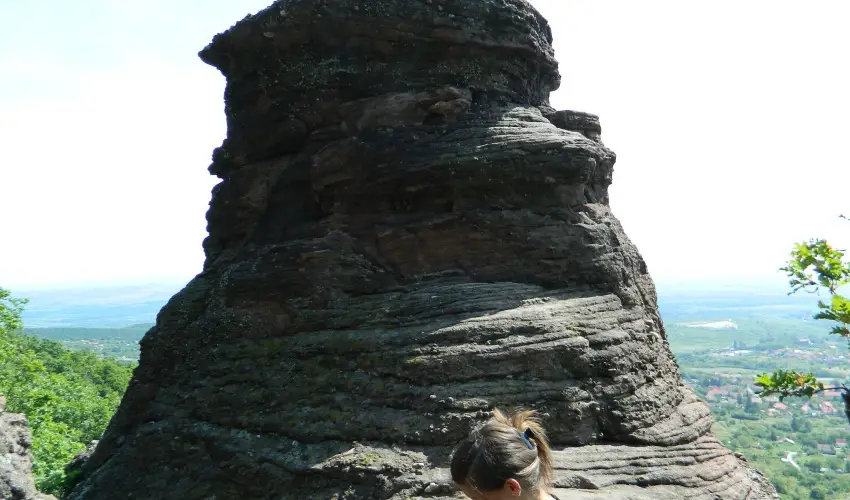 T�kert Fogad� Nagym�nyok - Ny�ri pihen�s (min. 5 �j)