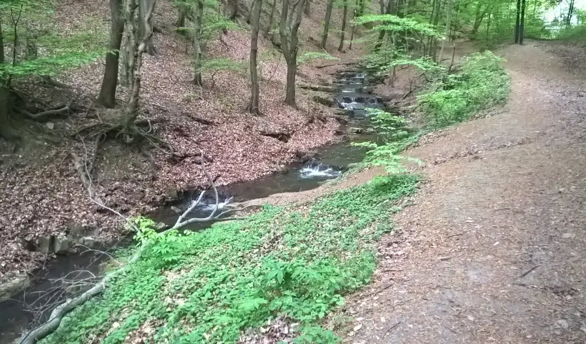 T�kert Fogad� Nagym�nyok - Ny�ri pihen�s (min. 5 �j)