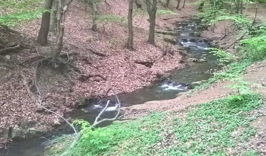 T�kert Fogad� Nagym�nyok - Ny�ri pihen�s (min. 5 �j)