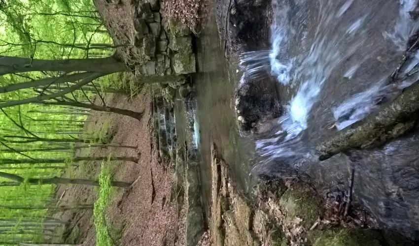 T�kert Fogad� Nagym�nyok - Ny�ri pihen�s (min. 5 �j)