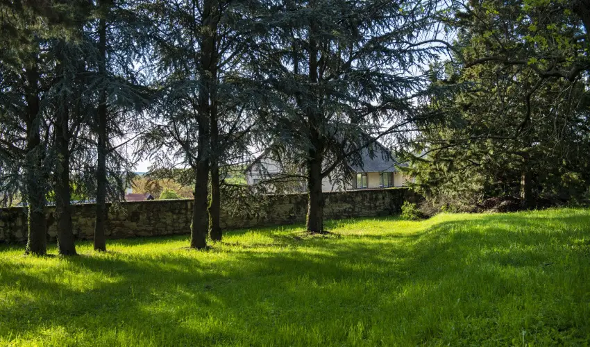 T�nd�rkert Hotel Noszvaj - Kedvezm�nyes pihen�s f�lpanzi�val (min. 4 �j)