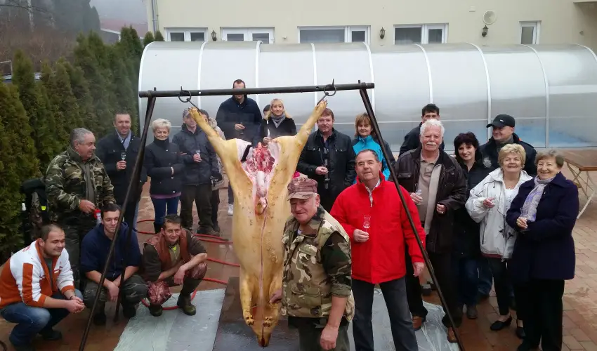 Viktor Bor- és Vendégház Balatonmáriafürdő - Nyugdíjas kedvezményes árak reggelis ellátással (1 éjtől)