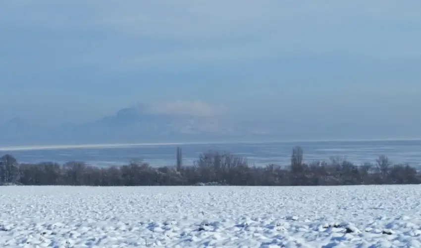 Viktor Bor- és Vendégház Balatonmáriafürdő - Nyugdíjas kedvezményes árak reggelis ellátással (1 éjtől)