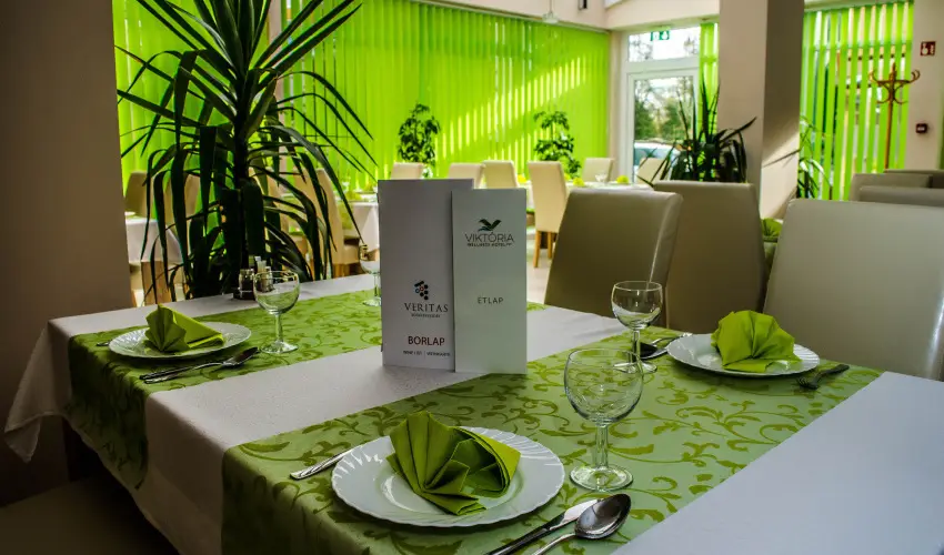 Wellness Hotel Viktria Nagyatd - Fillres napok Nagyatdon (1 jtl)