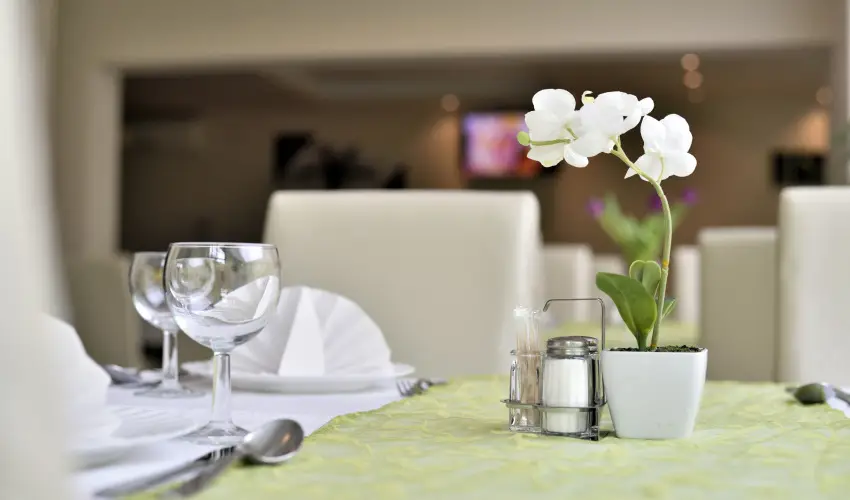 Wellness Hotel Viktria Nagyatd - Fillres napok Nagyatdon (1 jtl)