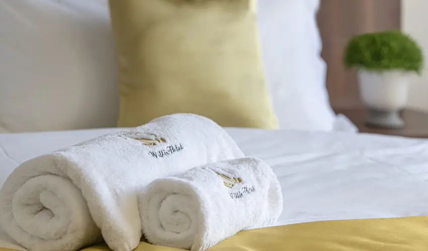 Willis Hotel Business & Wellness Zalaegerszeg - Nyugdíjas kedvezményes árak reggelis ellátással (1 éjtől)