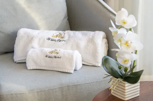 Willis Hotel Business & Wellness - Nyugdjas kedvezmnyes rak flpanzis elltssal (1 jtl)