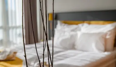 Zs�ry Liget Hotel & Spa Mez�k�vesd