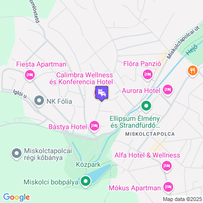 Calimbra Konferencia & Wellness Hotel a trkpen